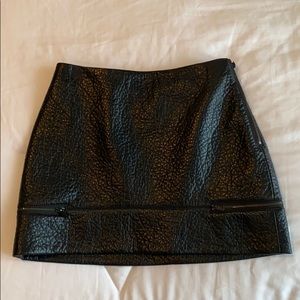 Zara Leather Skirt